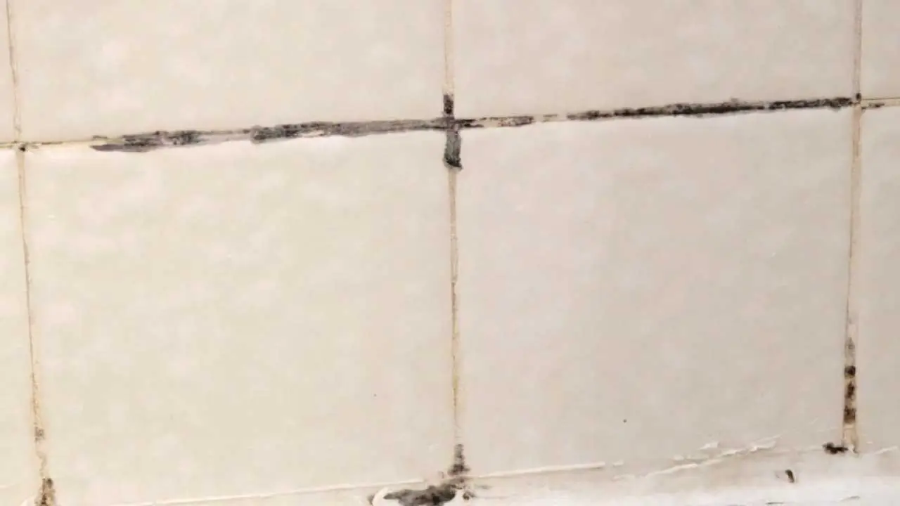 Hai trovato tracce di muffa nelle fughe? Rimuovile ora con semplice acqua ossigenata Hai trovato tracce di muffa nelle fughe? Rimuovile ora con semplice acqua ossigenata