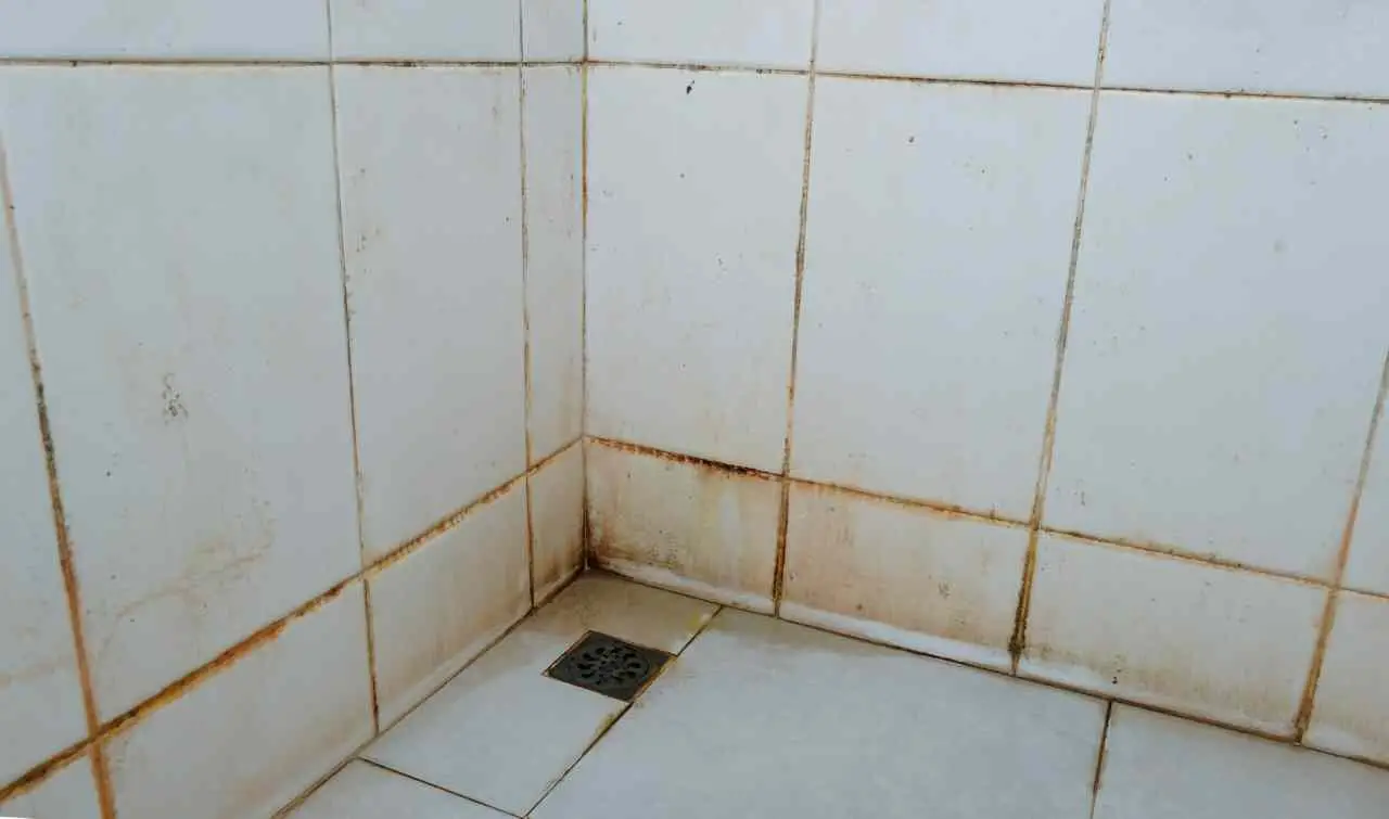 Hai trovato tracce di muffa nelle fughe? Rimuovile ora con semplice acqua ossigenata Hai trovato tracce di muffa nelle fughe? Rimuovile ora con semplice acqua ossigenata