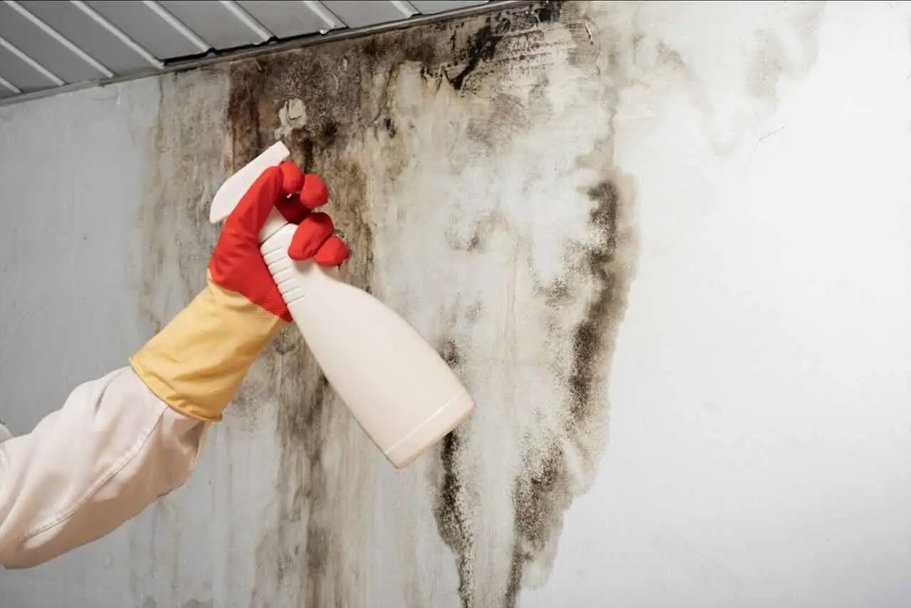 Ecco la soluzione economica per togliere le macchie d’umidità dai muri di casa Ecco la soluzione economica per togliere le macchie d’umidità dai muri di casa